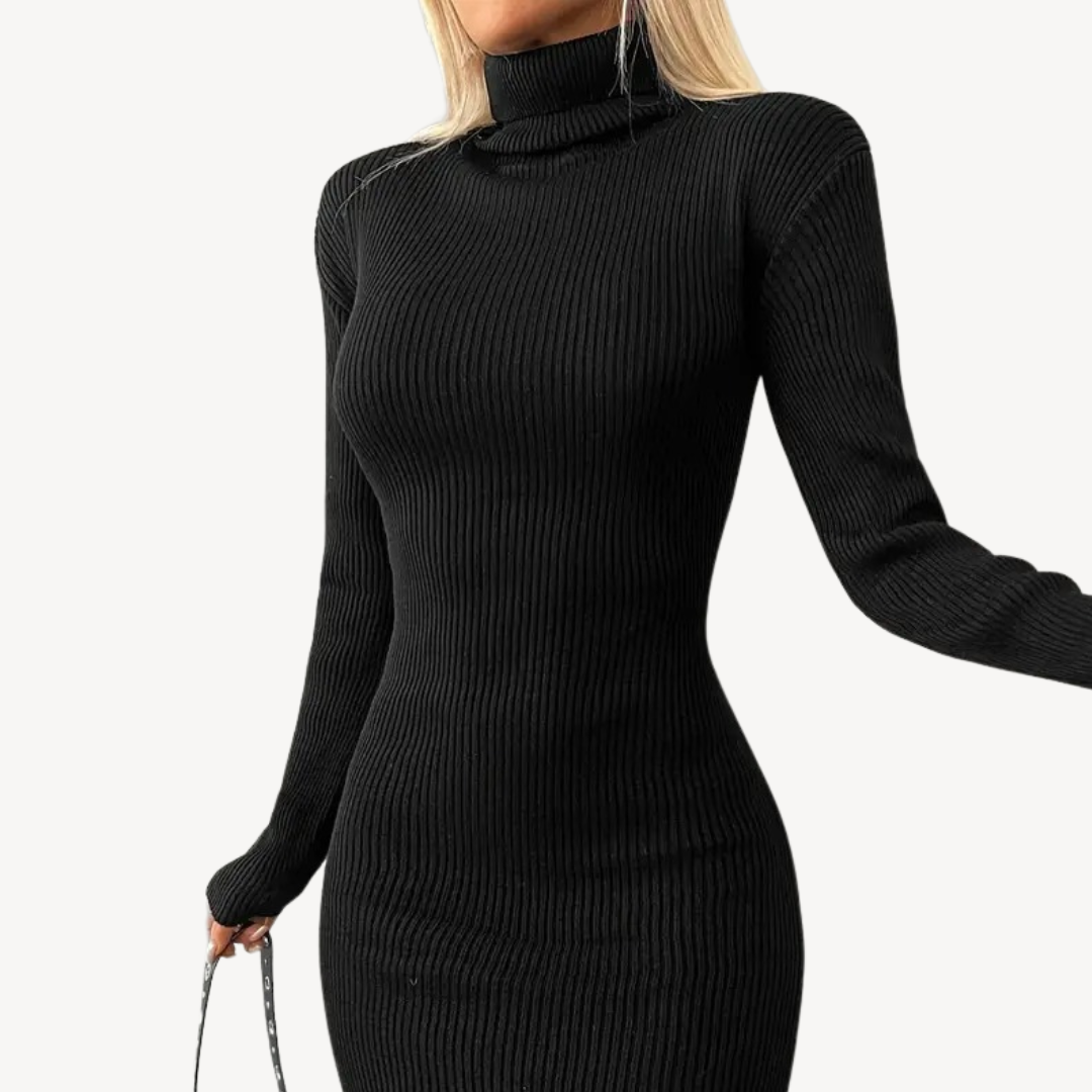Black Ribbed Knit Turtleneck Dress for Women | Loravelle