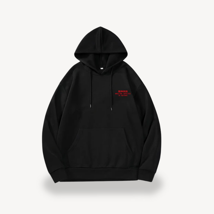 Men's Graphic Print Hoodie| Loravelle