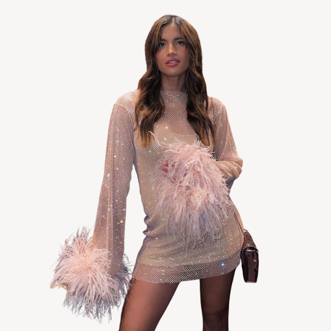 Sequined Mesh Feather Detail Mesh Dress | Loravelle