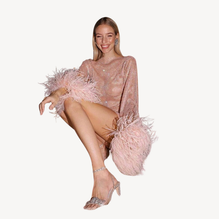 Sequined Mesh Feather Detail Mesh Dress | Loravelle